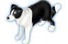 Playmobil - 30667432 - Border Collie Stehe.