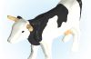 Playmobil - 30668180 - Cow II/1999