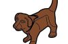 Playmobil - 30669440 - Puppy standing