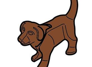 Playmobil - 30669440 - Puppy standing