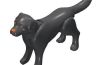 Playmobil - 30669872 - Labrador