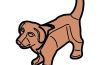 Playmobil - 30671010 - Puppy standing