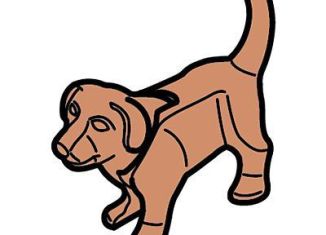 Playmobil - 30671010 - Puppy standing