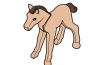 Playmobil - 30671780 - Foal 99