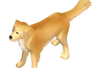 Playmobil - 30674893 - Retriever standing