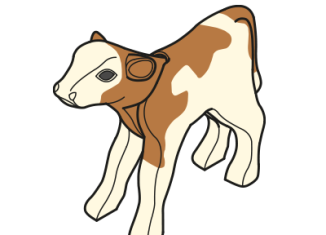 Playmobil - 30674912 - Calf 1999