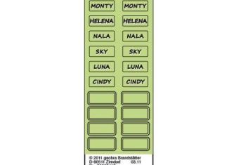 Playmobil - 30802413 - Sticker 5221 Large riding farm with paddock