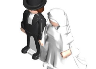 Playmobil - 30806342 - Torte Bridepaar