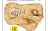 Playmobil - 30809724 - Sticker 9359 Archäologische Ausgrabung