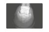 Playmobil - 30820793 - Film image 5533 X-ray vet with equipment