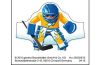 Playmobil - 30828533 - Sticker 6192 ice hockey Tortraining
