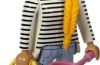 Playmobil - 72140v12 - Woman with landing net