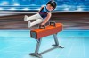 Playmobil - 5192 - Gymnaste cheval d'arçon