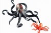 Playmobil - 6202 - Octopus with Baby