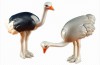 Playmobil - 6260 - 2 Ostriches