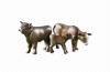 Playmobil - 6357 - 2 Cows with Calfs, dark brown