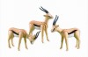 Playmobil - 7397 - 3 Gazelles