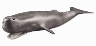 Playmobil - 7998 - Sperm Whale